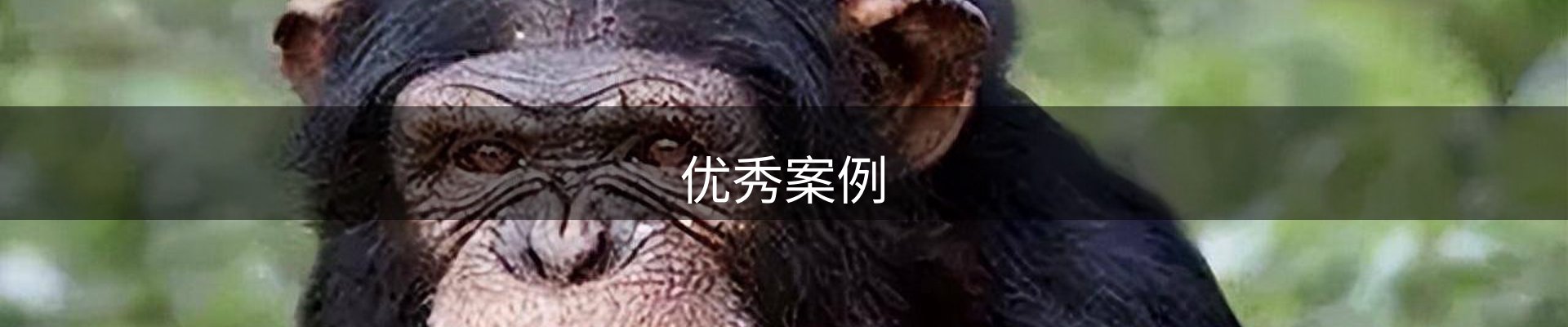 优秀案例